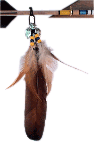 Arrow of Light Kit